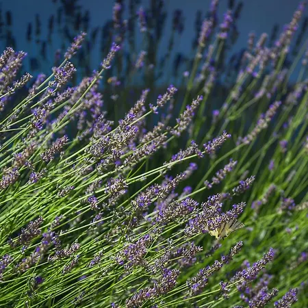 Villa R&b Heated Pool *