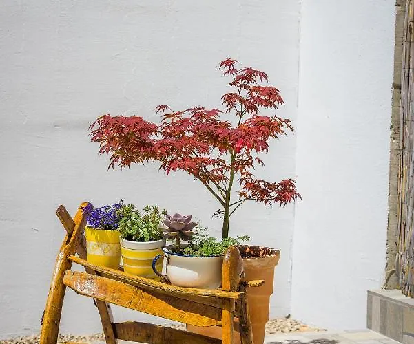 Villa R&b Heated Pool