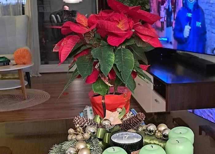 Villa R&b Heated Pool Vrpolje